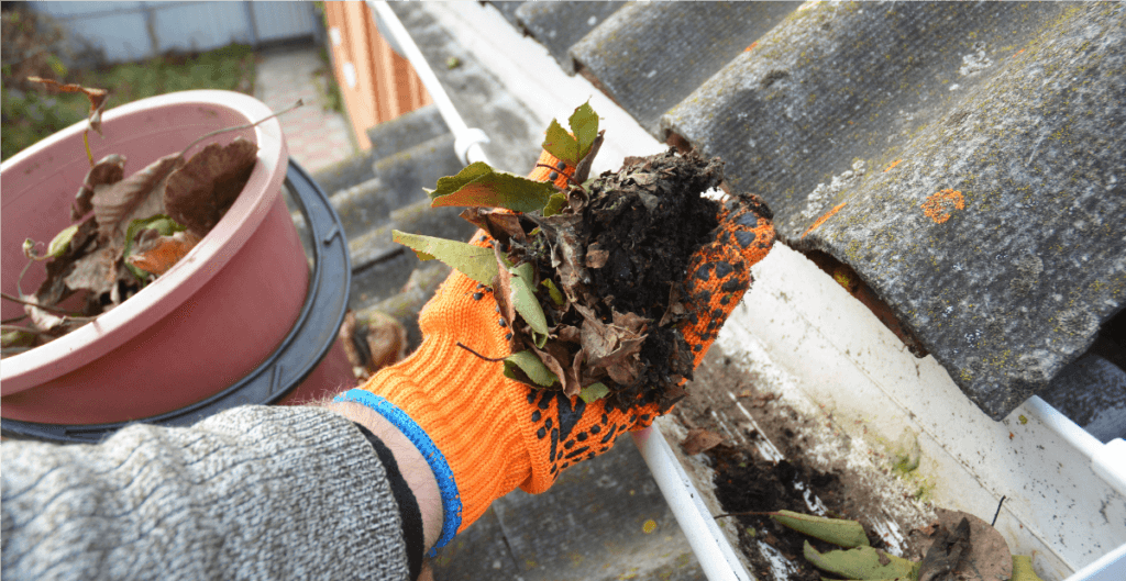 debris in gutters