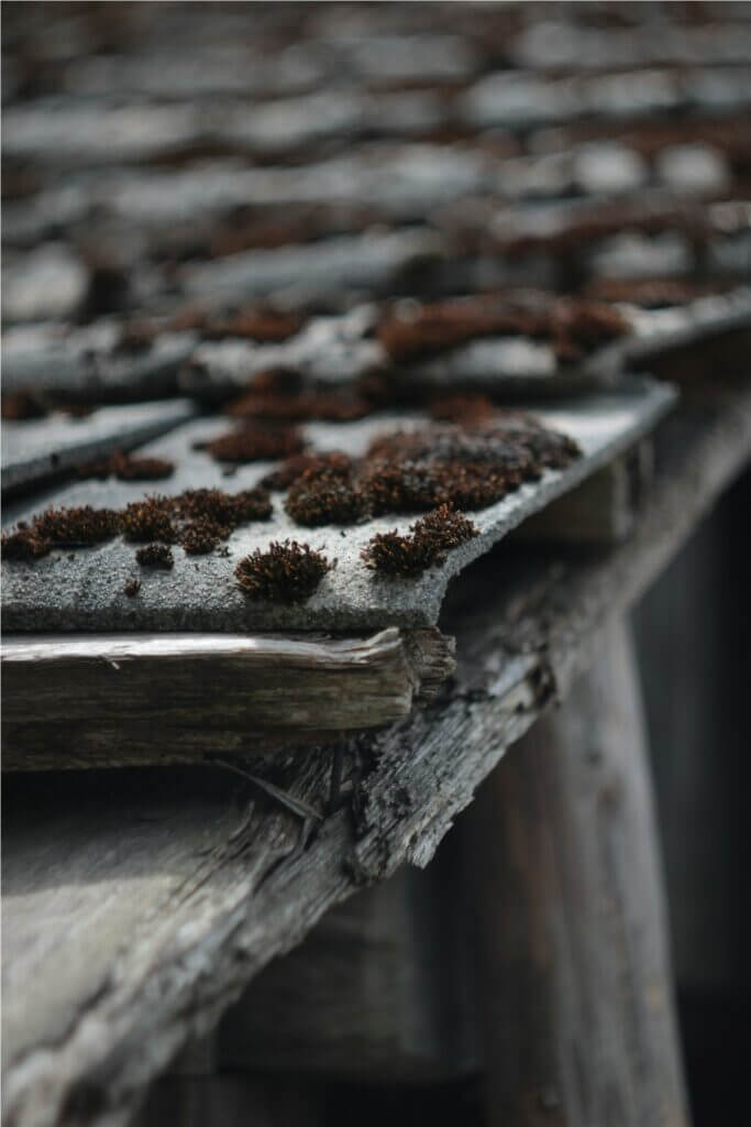 damaged rotting roof