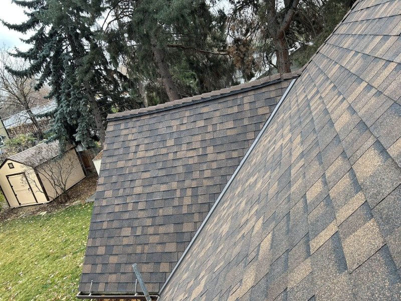 Multi-toned brown architectural shingles on steep roof slopes, surrounded by evergreen trees and shed.