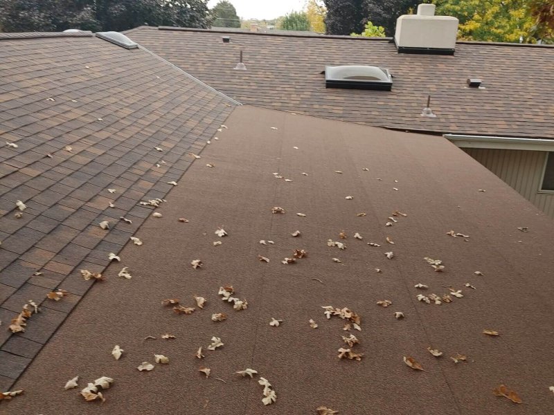 Low-slope roof with metal valley flashing, multiple roof penetrations and skylights against autumn backdrop.