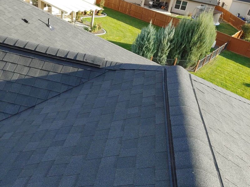 Dark gray shingle roof with ridge vent installation, overlooking a backyard.