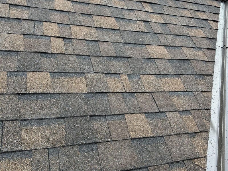 Two-tone gray and tan roof shingles on steep slope.